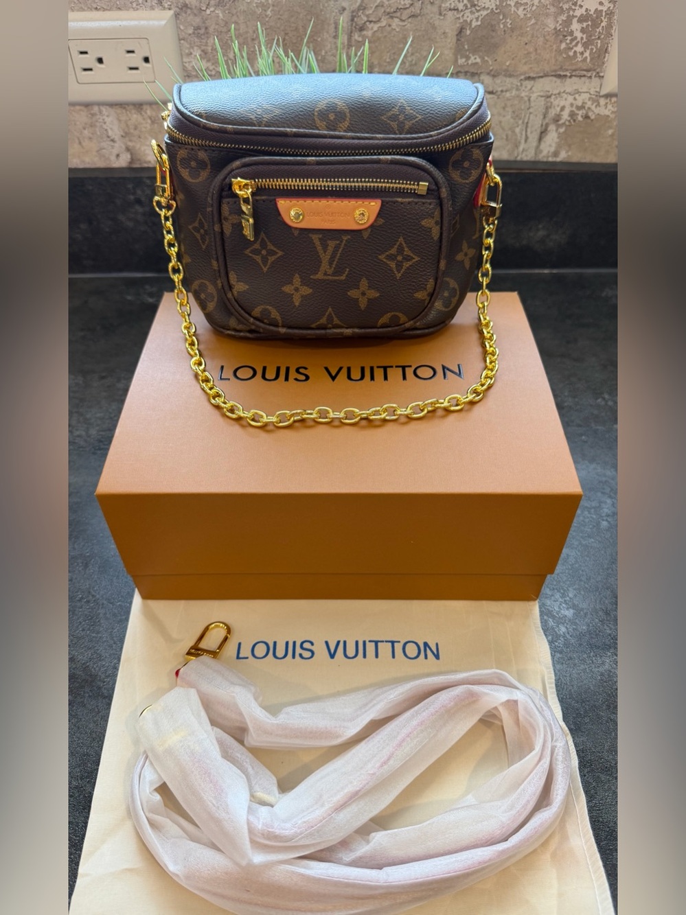 LV Monogram Mini Bumbag